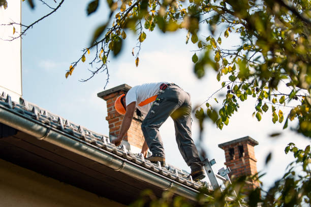 Quick and Trustworthy Emergency Roof Repair Services in Wakefield, NE